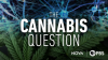 The_Cannabis_Question