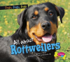 All_about_Rottweilers