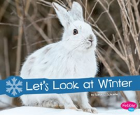 Let_s_Look_at_Winter