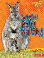 Meet_a_baby_wallaby