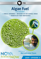 Algae_Fuel